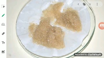 ClassIX Science 12 05 2020 by Ms Mridulata Upadhyay