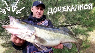 🆕 Судак за 5 хвилин – це реально на Дніпрі ! 🆕