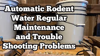 Rodent Automatic Water System Maintenance