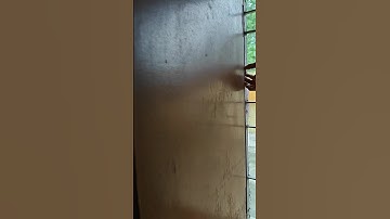 How to Break a Walnut the Easy Way 🌰 Cracking a Walnut