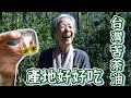 一日產地，苦茶油大解密！檳榔轉作的最佳夥伴，目標是世界級的精品苦茶油