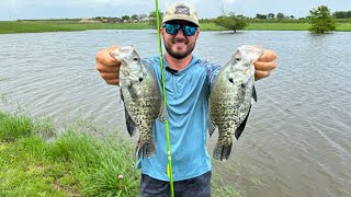 This Pond Was LOADED With Spawning CRAPPIE