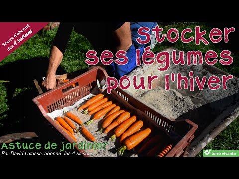 Vidéo: Comment Conserver Les Carottes à La Maison ? Rangement Adéquat Dans L'appartement Et Dans La Maison. Où Est-il Préférable De Le Stocker En Hiver ?