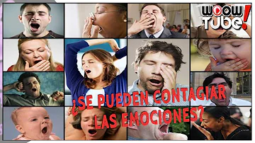 ¿Qué es el alto contagio emocional?