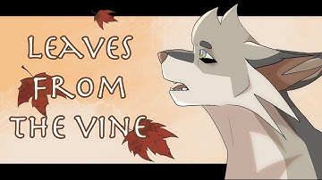 ~Longtail ::Leaves From the Vine:: ~