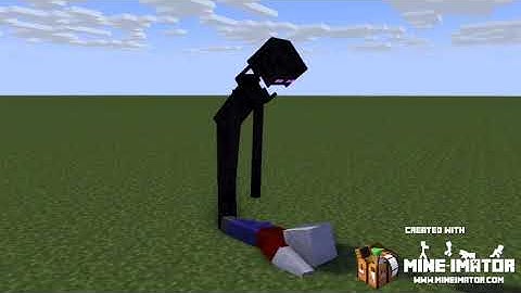 Anomaly 082 vs Enderman