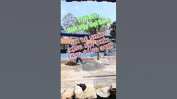 Nhà Ngộp Hóc Môn 2024 | Bán gấp căn nhà ngộp hồ sinh thái vườn gần Cầu Lớn Hóc Môn giá 300 triệu