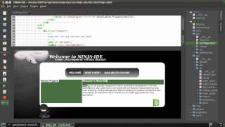 How To Build A Python Application Using Ninja Ide How To Build A Python Application Using Ninja Ide