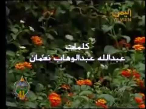 محلى هواك لكن حولك اشواك ايوب طارش عبسي لا يفوتك