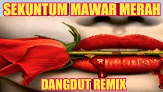 Video thumbnail of "SEKUNTUM MAWAR MERAH - DANGDUT REMIX - TIKTOK VIRAL"