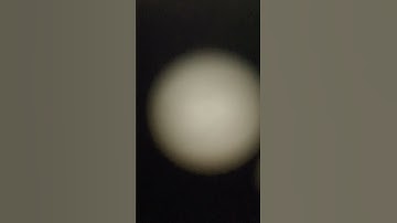 Thumbnail of Reflections in the Shadows (check out other songs for better quality!)