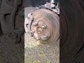 EP3 - Issues with Oem brakes and some Hub dynos &amp; plans to fix #ep3 #civicsi #diy