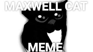 MAXWELL CAT (меме если что)