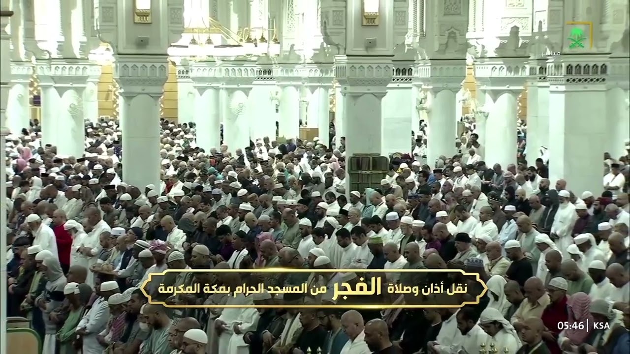 الشيخ #بدر_التركي يقرأ سورة النبأ بترتيل يملؤه السكينة من #الحرم_المكي فجر ٩-٦-١٤٤٦ هـ