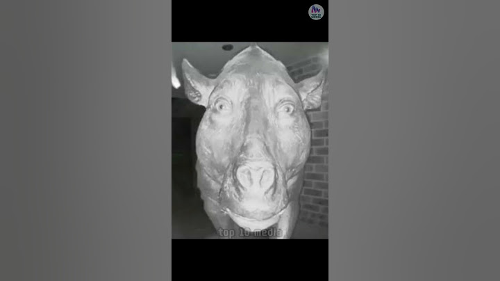Những bức ảnh đáng sợ của động vật#animals #shorts #top10media