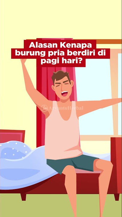 Kenapa Burung Pria Berdiri Di Pagi Hari?😂