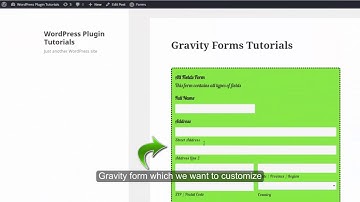 Method to Add Border of Submit button inside Gravity Forms