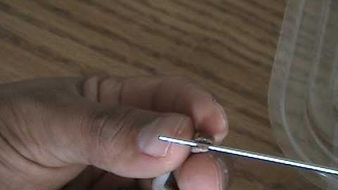 Assist feeding tiny python