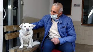 Sahibini 5 gündür hastane kapısında bekleyerek dünya basınına konu olan köpek, sahibiyle buluştu