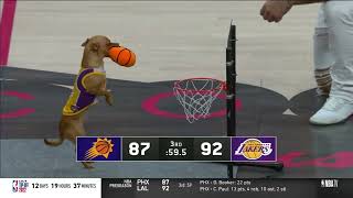 This dog can dunk! 🐶 screenshot 2