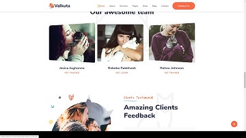 Valkuta - Pet WordPress Theme pet shop cat Easy Create Website