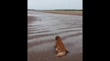 섹쉬 PHP 3강  자료형Data Types 과 문자열 함수String Function