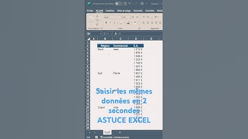 Astuce Excel Pour Copier Coller Les Mêmes Données en 2 Secondes