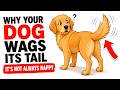 Why Your Dog's Tail Wag Doesn't Always Mean Happy (The Truth)