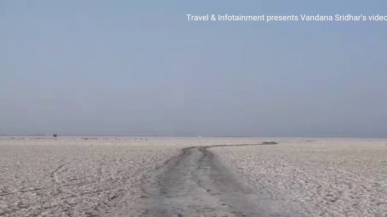 The great white Rann of Kutch largest salt marsh dessert in Gujarat ...