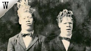 The STRANGE CASE of George and Willie Muse