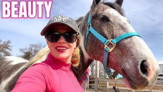 Update On My New Horse! First Grooming & Groundwork Session by Free Spirit Equestrian 86,712 views 1 month ago 25 minutes