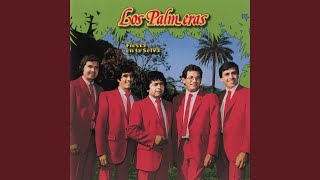 Video thumbnail of "Los Palmeras - Donde Quieras que Estés (Single)"