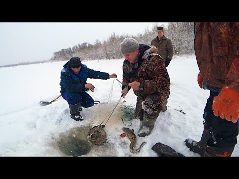 Video: Tasik Kubenskoye, Wilayah Vologda: penerangan, ciri memancing dan ulasan