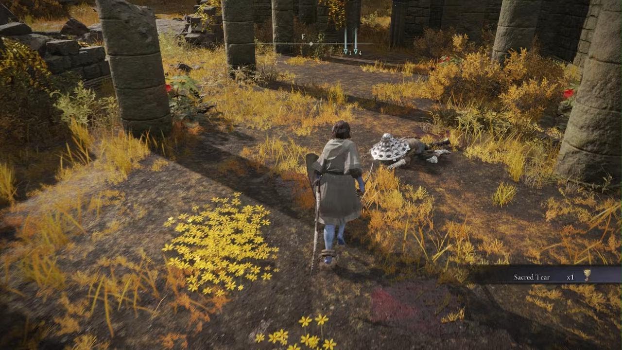 ELDEN RING Elenora YouTube