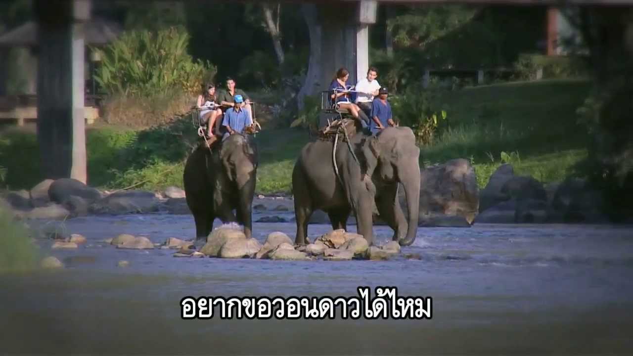 MV เพลงดาวเกี้ยวเดือน