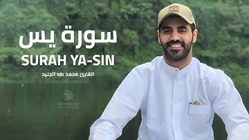 صوت يدخل القلب بدون استئذان سورة يس للقارئ محمد طه الجنيد