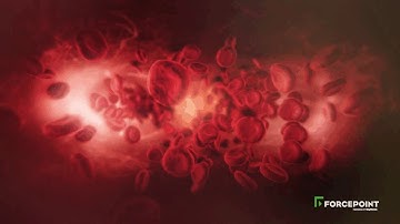 Protecting the human point.