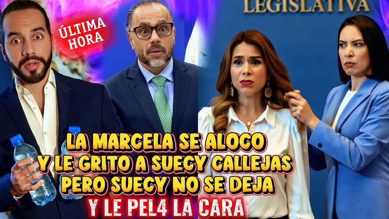 BOMBAZO SUECY CALLEJAS HACE BARRIDA A LA MARCELA VILLATORO QUE SE PUSO A GRITAR CØNTRA NAYIB BUKELE 