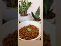 Carrot fry😍🤩| Side dish #carrot #sidedishforrice #viral #ytshorts #receipe #trending #shorts