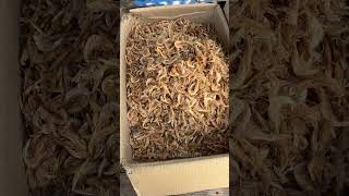 Amazing Dried fish market in Sri Lanka village fishcutting fishmarket food fishcooking short