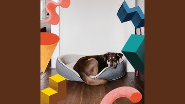 Pulsating Backdrops for Resting Pets
