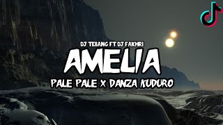 DJ AMELIA X PALPALE X DANZA KUDURO || viral tiktok 2022