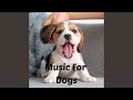 Dog music dreams