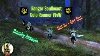 GW2 WvW Solo Roaming Sneaky Ranger Soulbeast [Border Control]