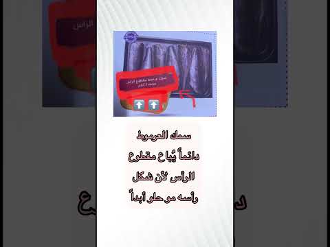 سمك العرموط سمك مقطوع الرأس سمك العرموط دائما ي باع مقطوع الرأس لأن شكل رأسه مو حلو سمك 