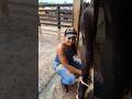 cow milking by hand Tuesday vlog part6| Tatiane Dairy Farm | #shortsfeed #cow #farming #viral