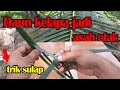 ASAH OTAK DARI DAUN KELAPA ' MANTAP BISA BUAT challenge sama teman