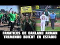 Esto es lo que esta Sucediendo Con los Fanaticos de Oakland 😱 Boicot en el partido