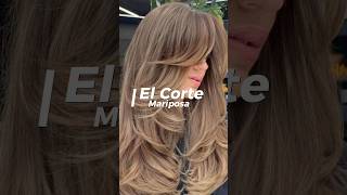 CORTES DE CABELLO ELEGANTES ✨⚜️ #hairstyle #haircut #estilo #elegance #fashion