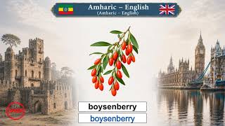 አማርኛ እንግሊዝኛ Amharic English Lesson 21 Speed Berries And Herbs ቤሪዎች እና ቅጠላ ቅጠሎች
